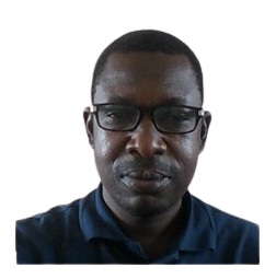 Ing. Professor Mexoese Nyatuame